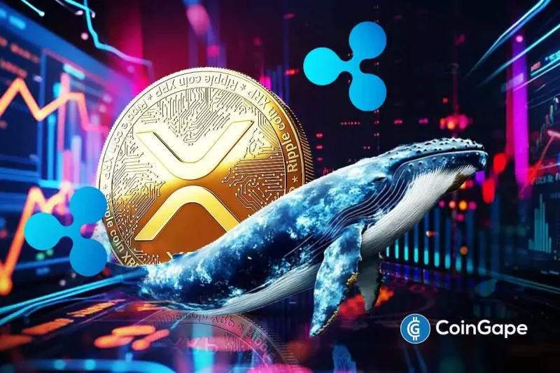 In a major XRP news today, a key whale indicator turns bullish for Ripple’s native crypto asset XRP. The on-chain metric now flashes a buy signal for the first time since July. Will XRP price see a massive rally from here as multiple catalysts are turning positive? Major XRP News: Whale Flow Metric Turns Positive
The post <a href="https://coingape.com/xrp-news-key-ripple-whale-indicator-turns-bullish-after-4-months-price-rally-ahead/">XRP News: Key Ripple Whale Indicator Turns Bullish After 4 Months, Price Rally Ahead?</a> appeared first on <a href="https://coingape.com/">CoinGape</a>.